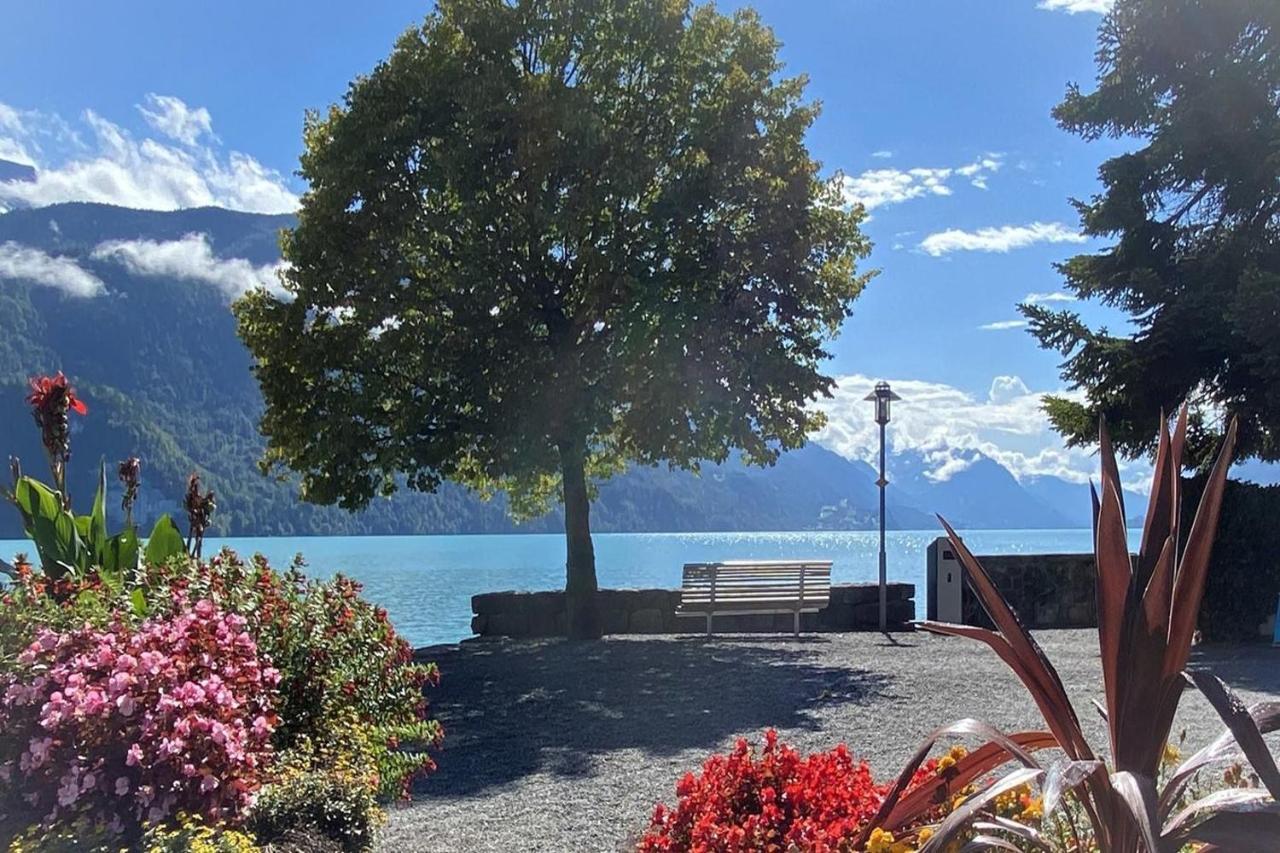 Holiday Apartments Falke Brienz  Eksteriør billede